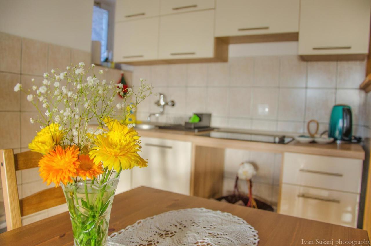 Apartment Rasce Ogulin Exteriér fotografie
